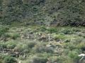 16-Death Valley 0018